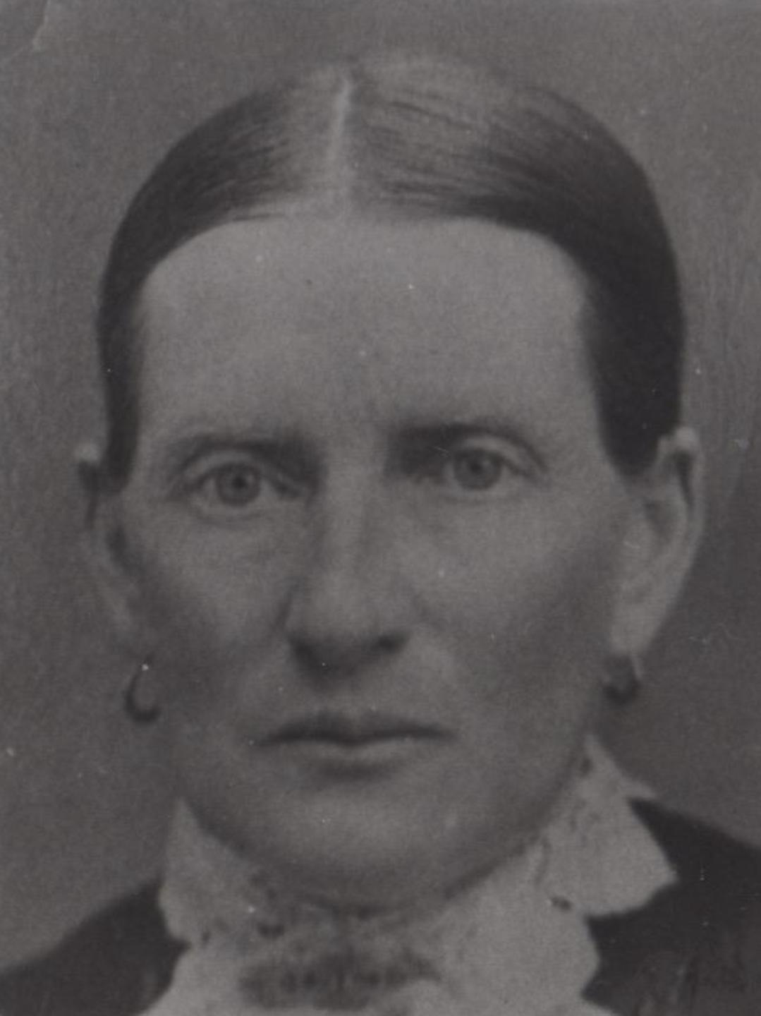 Louisa Elizabeth Raymond (1835 - 1916) Profile